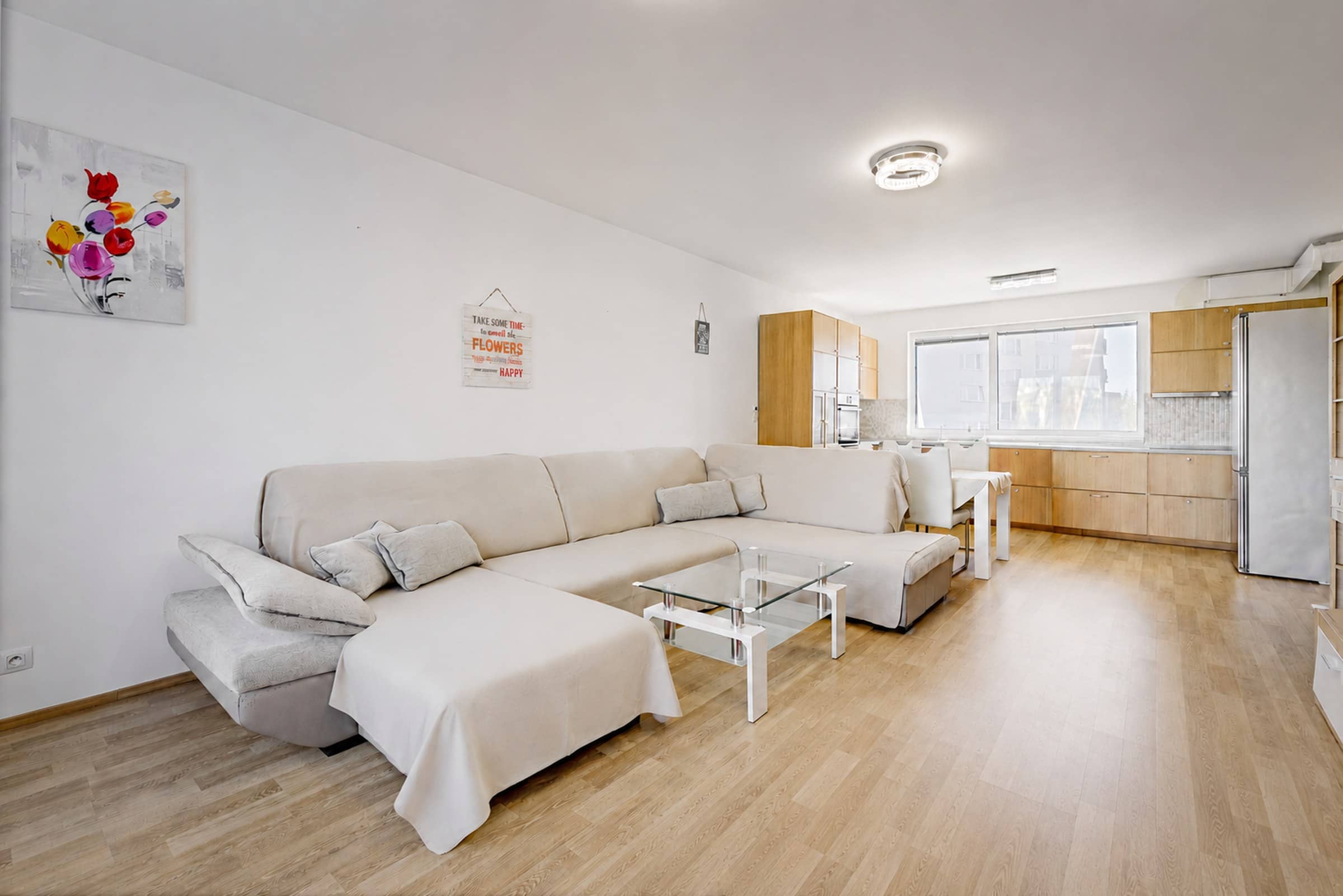 Apartment Svehlova