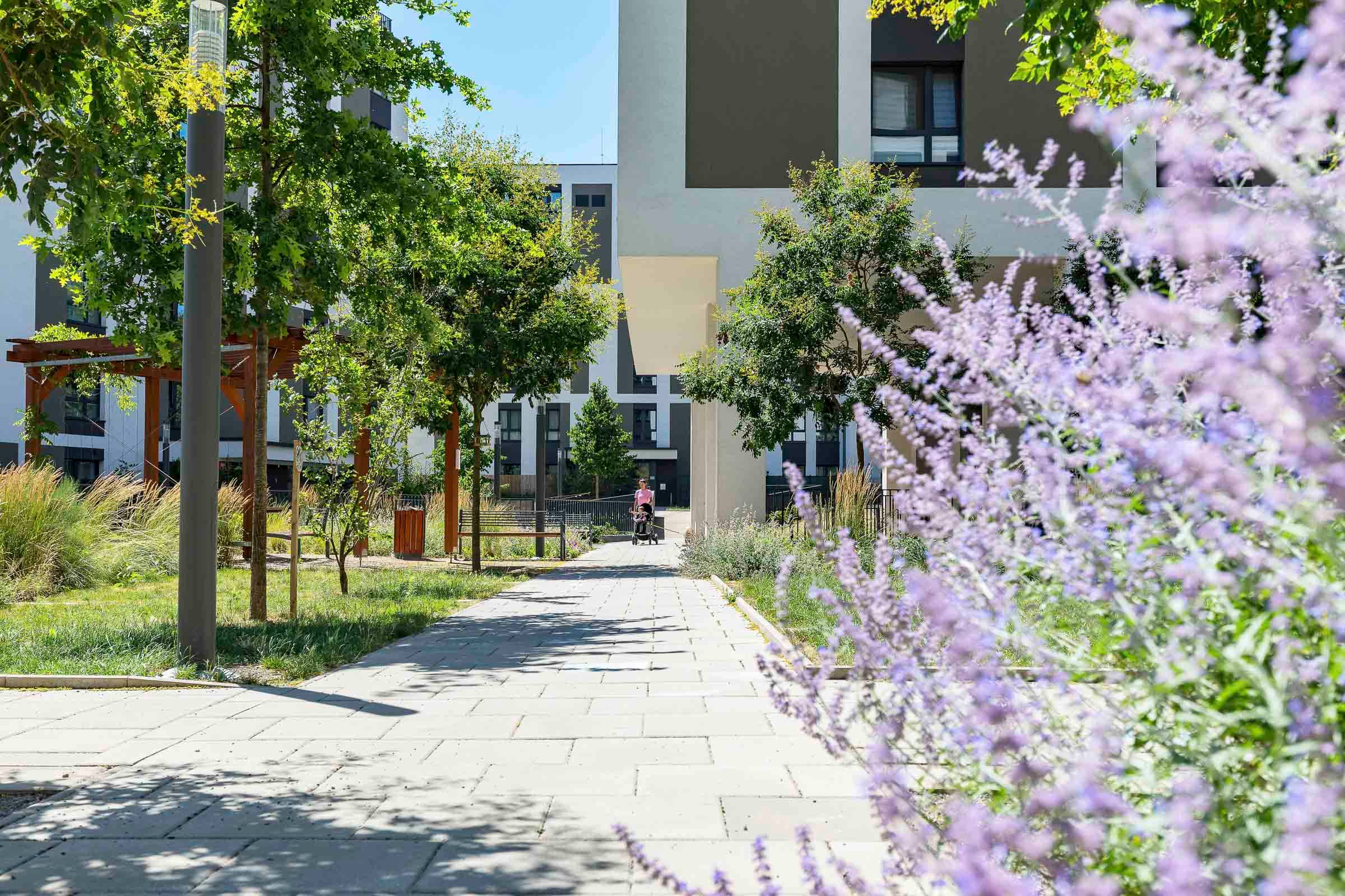 Apartment Olgy Havlove