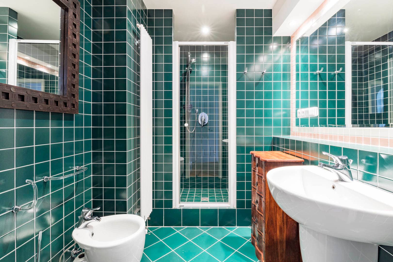 Apartment Janackovo nabrezi