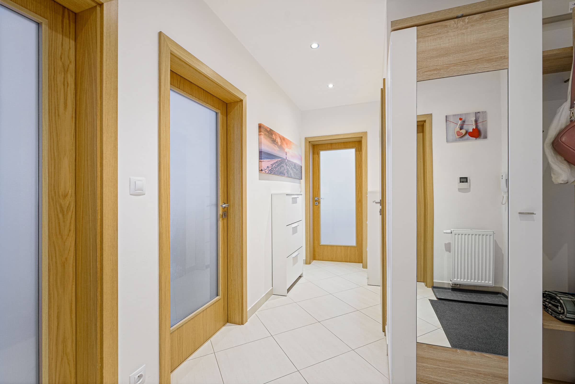 Apartment Svehlova