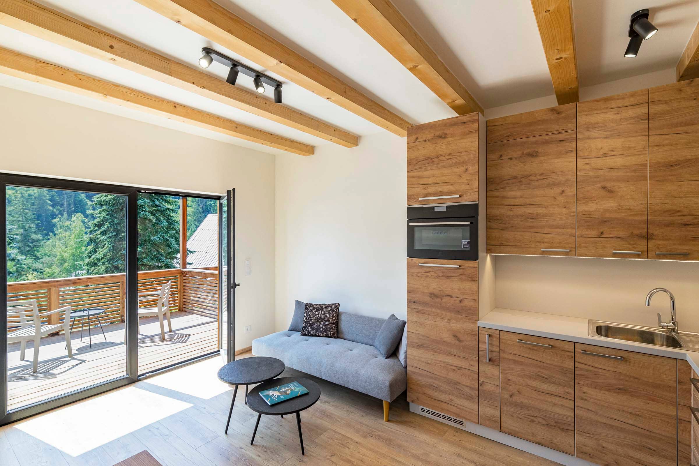 Apartmán Dědovice