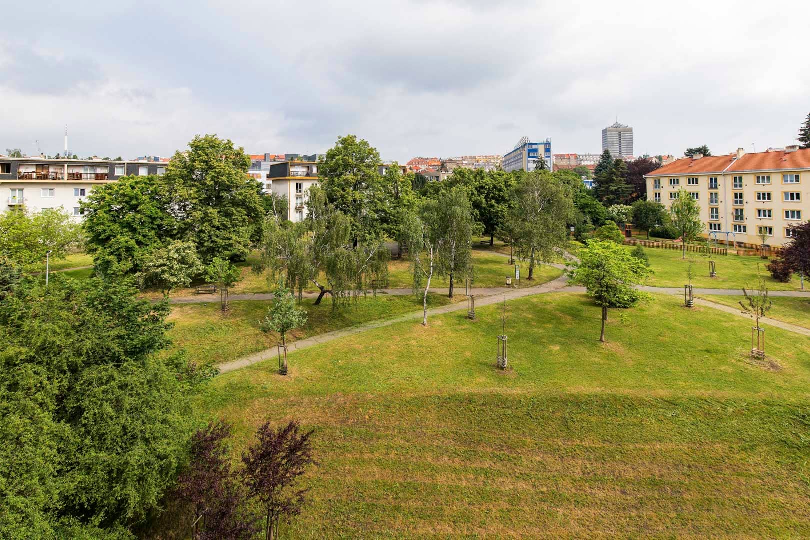 28. pluku
