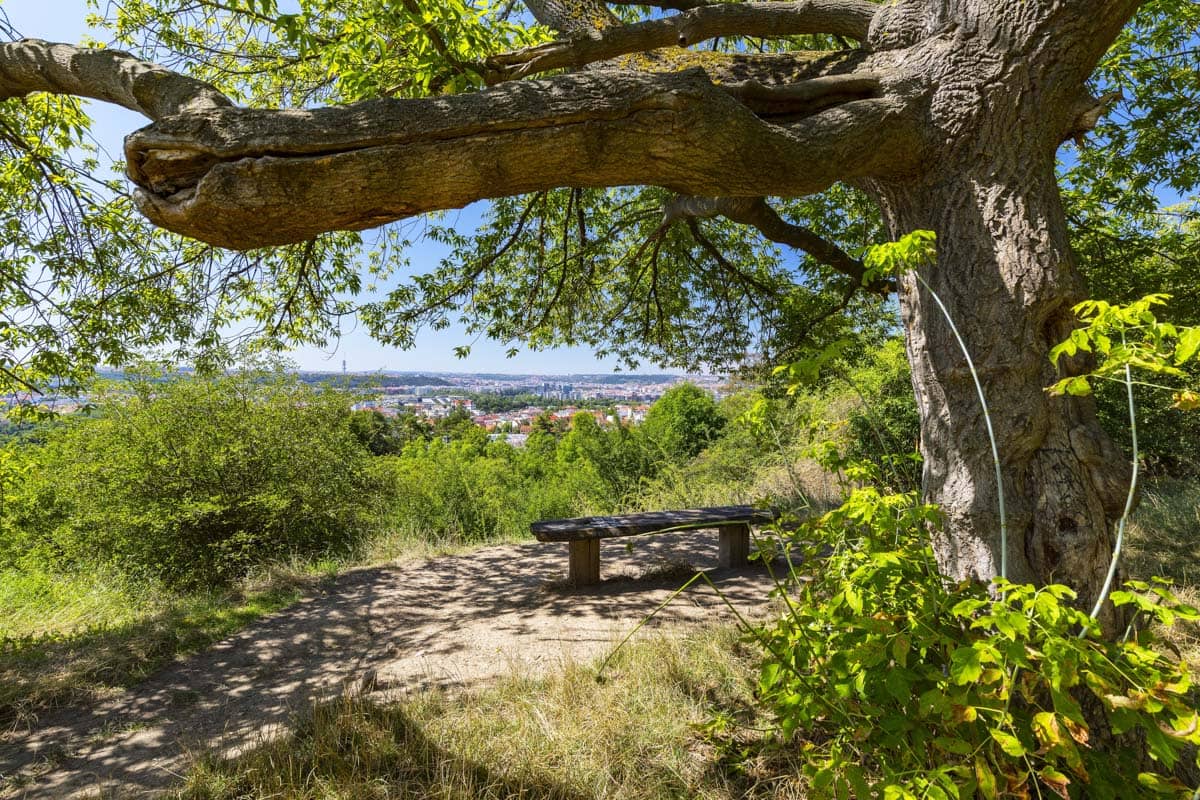 Byt Zenklova