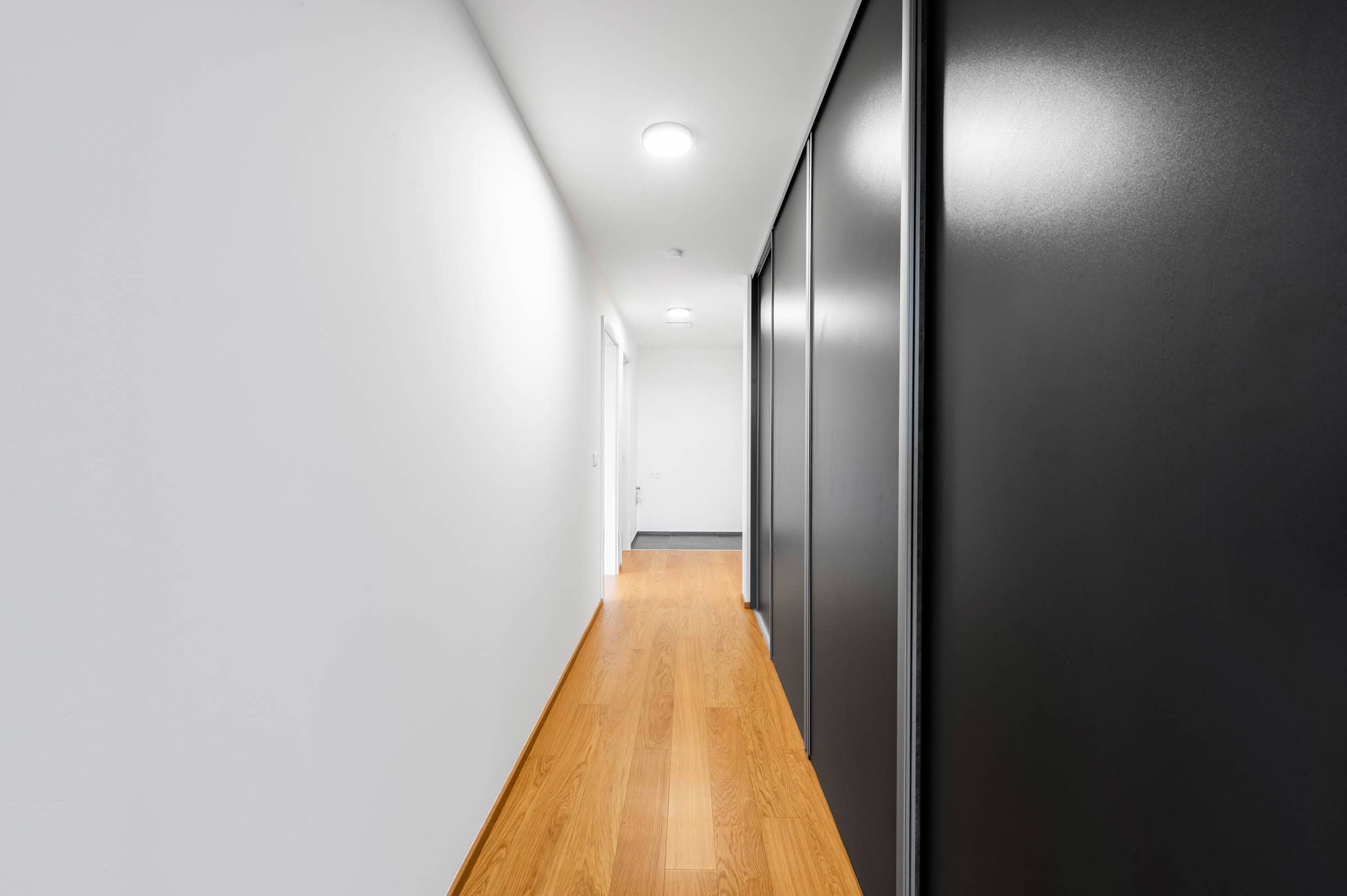 Apartment Hasilova