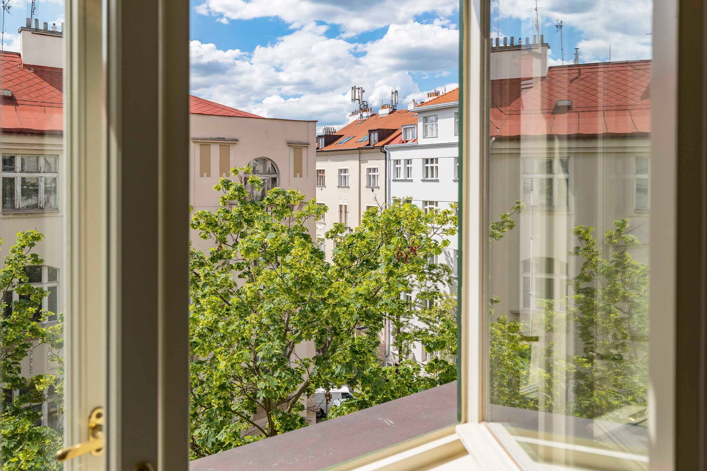 Apartment Manesova