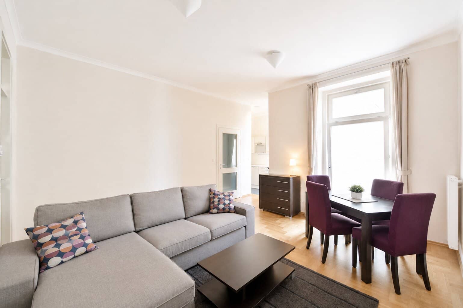 Apartment Vratislavova