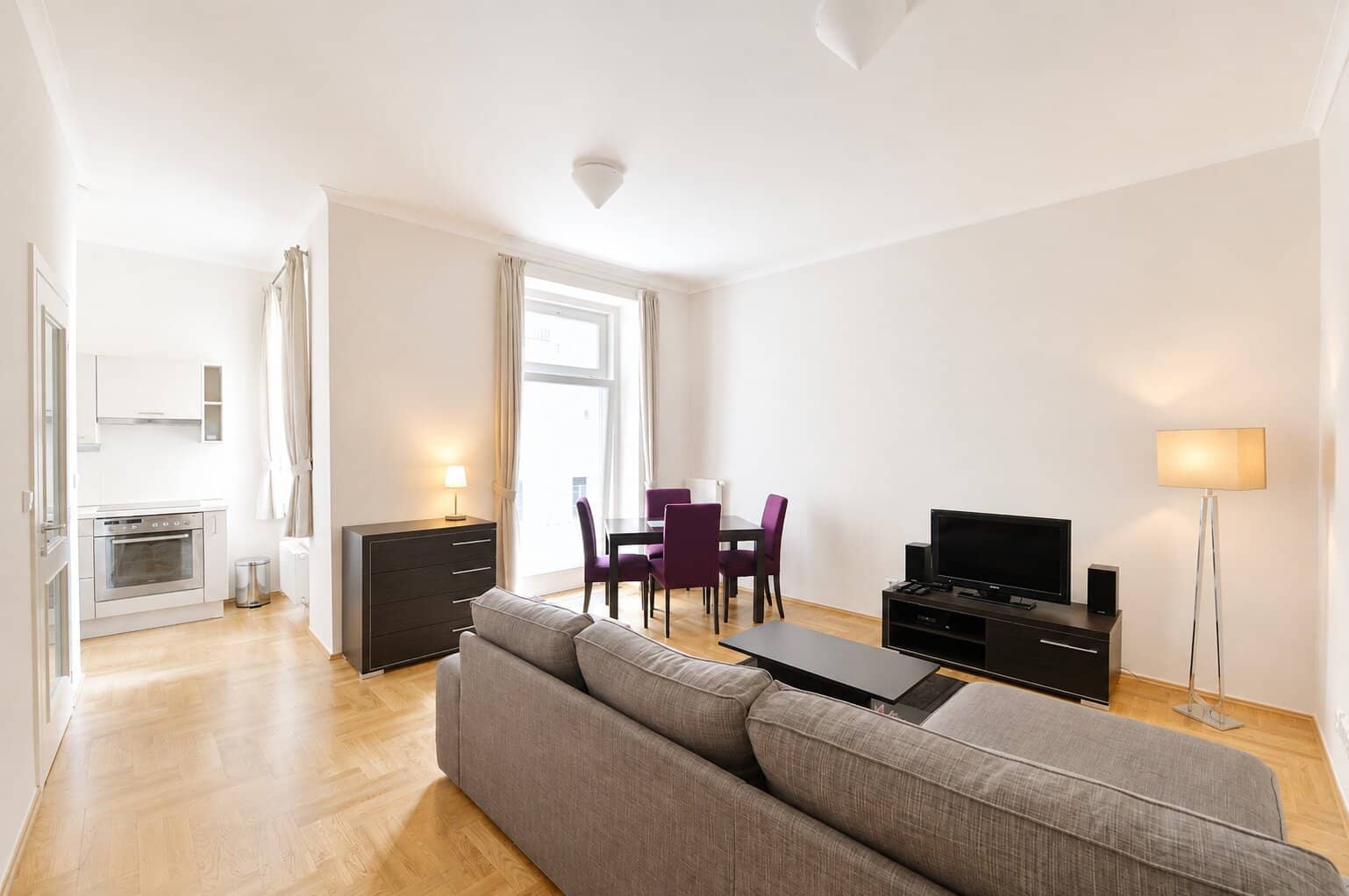 Apartment Vratislavova
