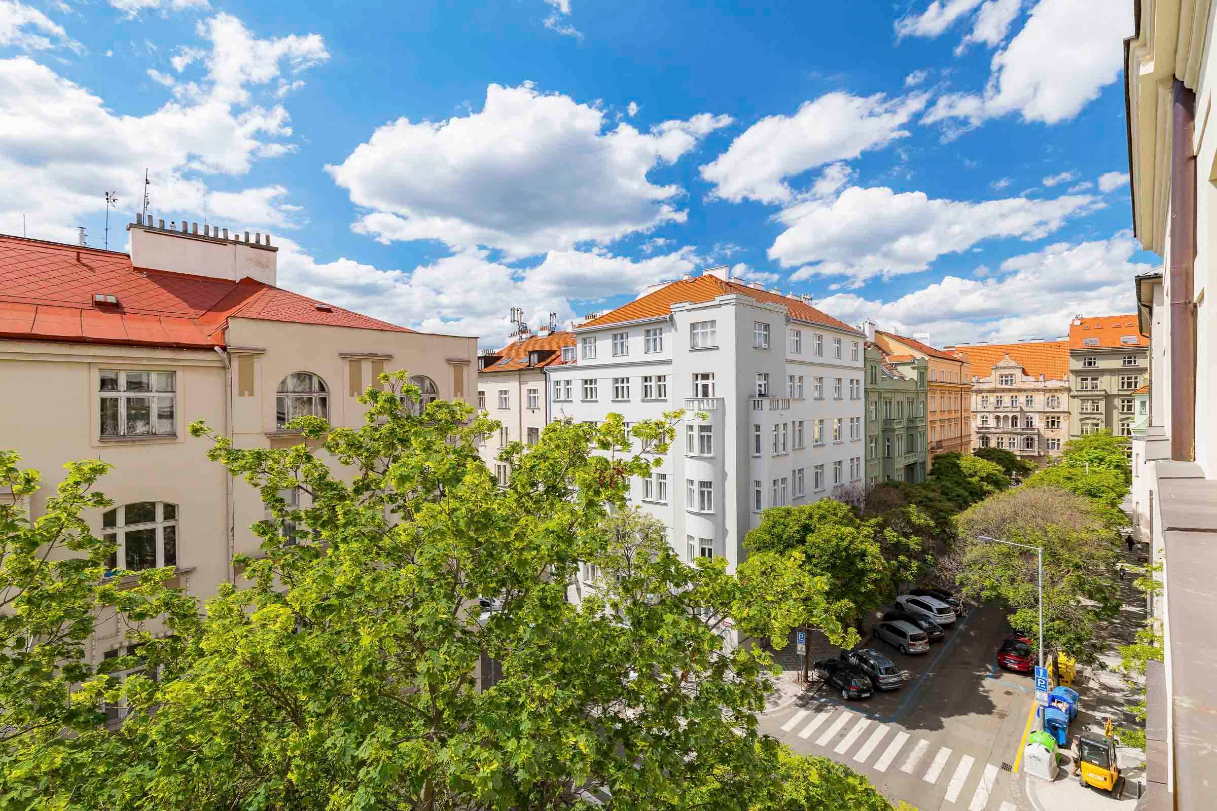 Apartment Manesova