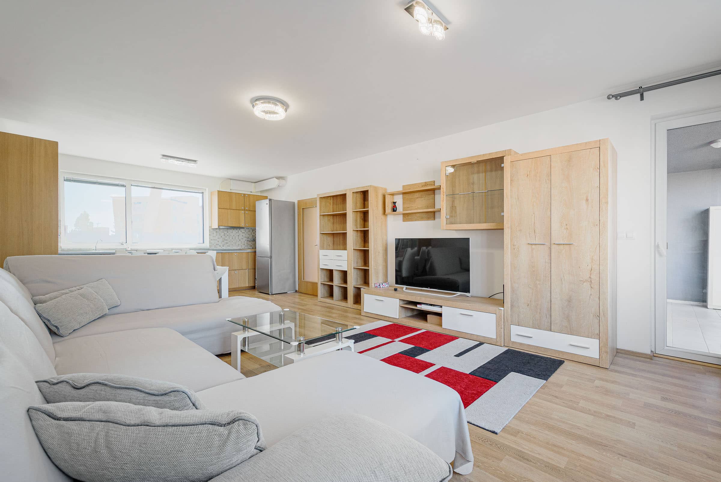 Apartment Svehlova