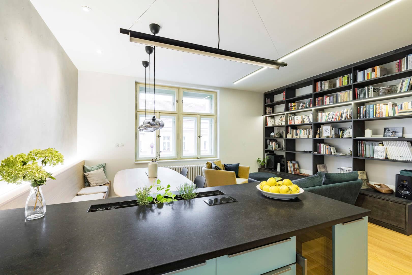 Apartment Manesova