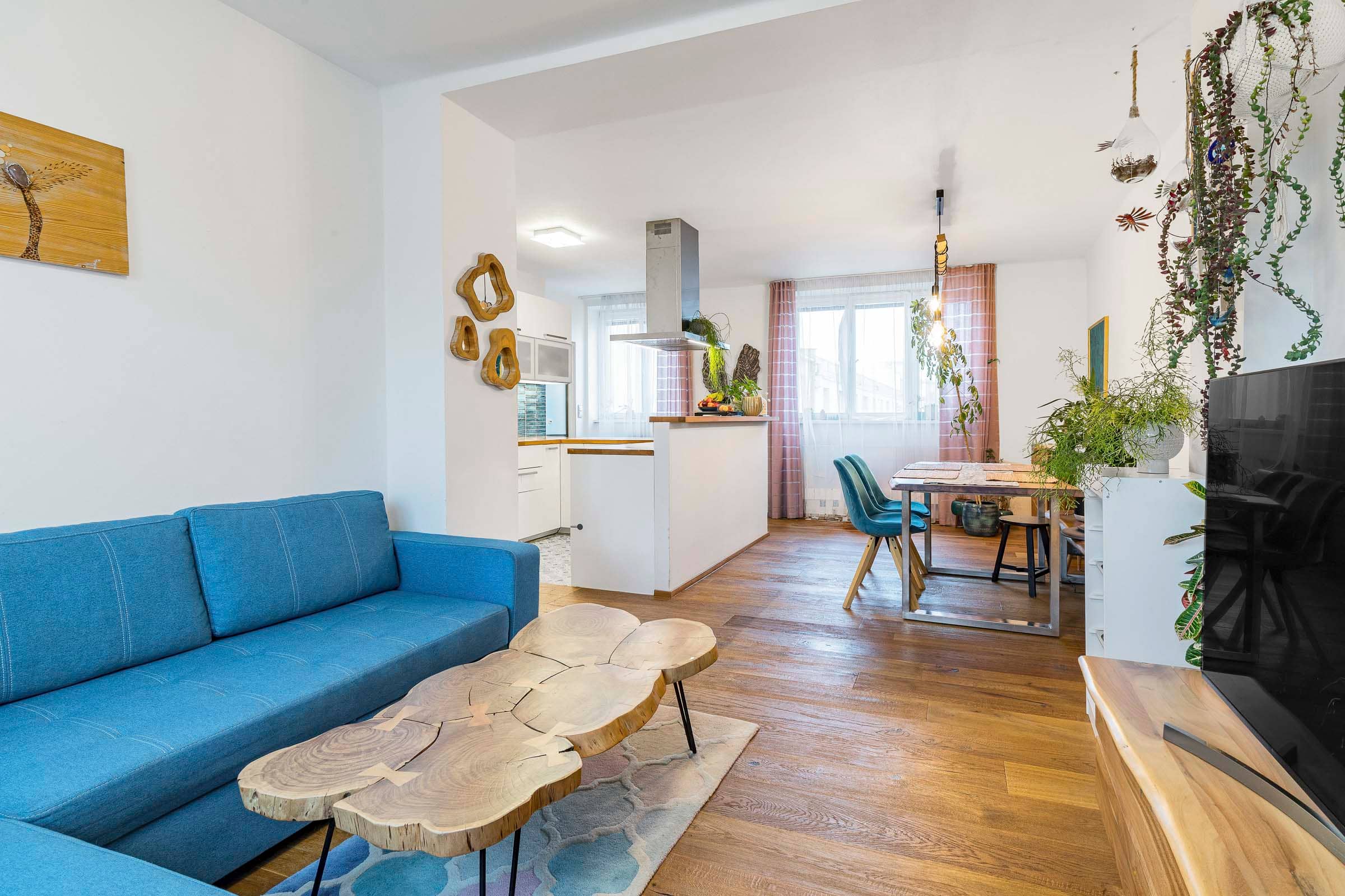 Apartment Pisecka