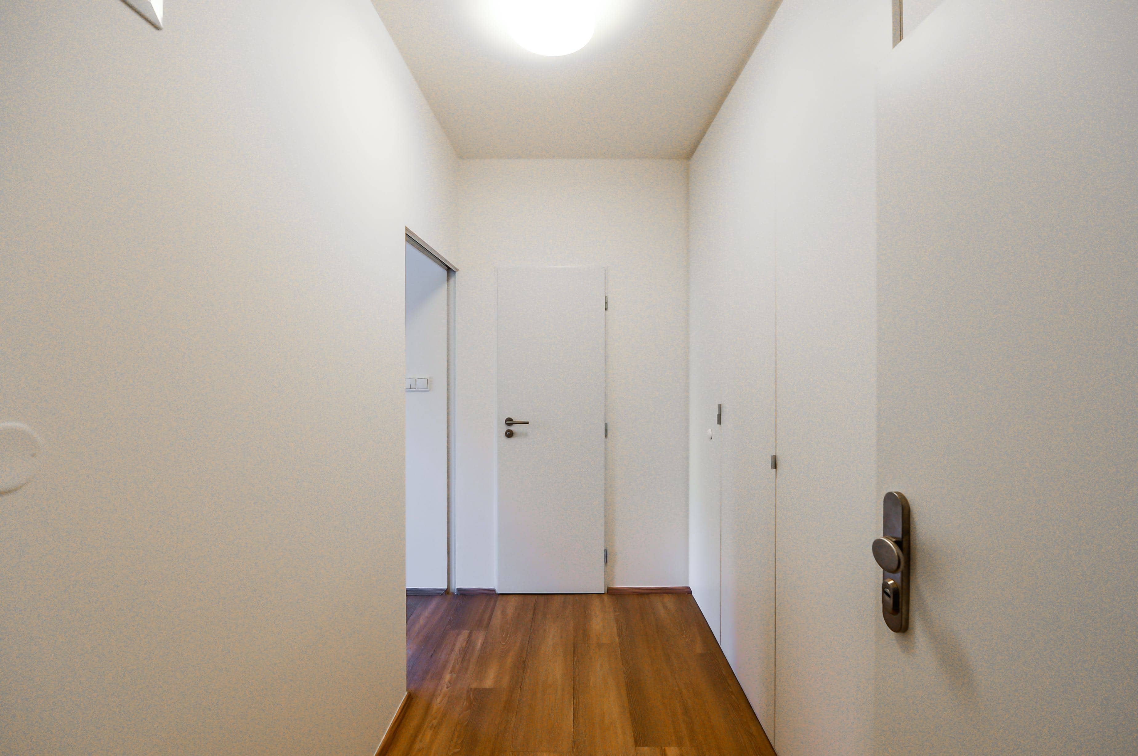 Apartment Lucemburska