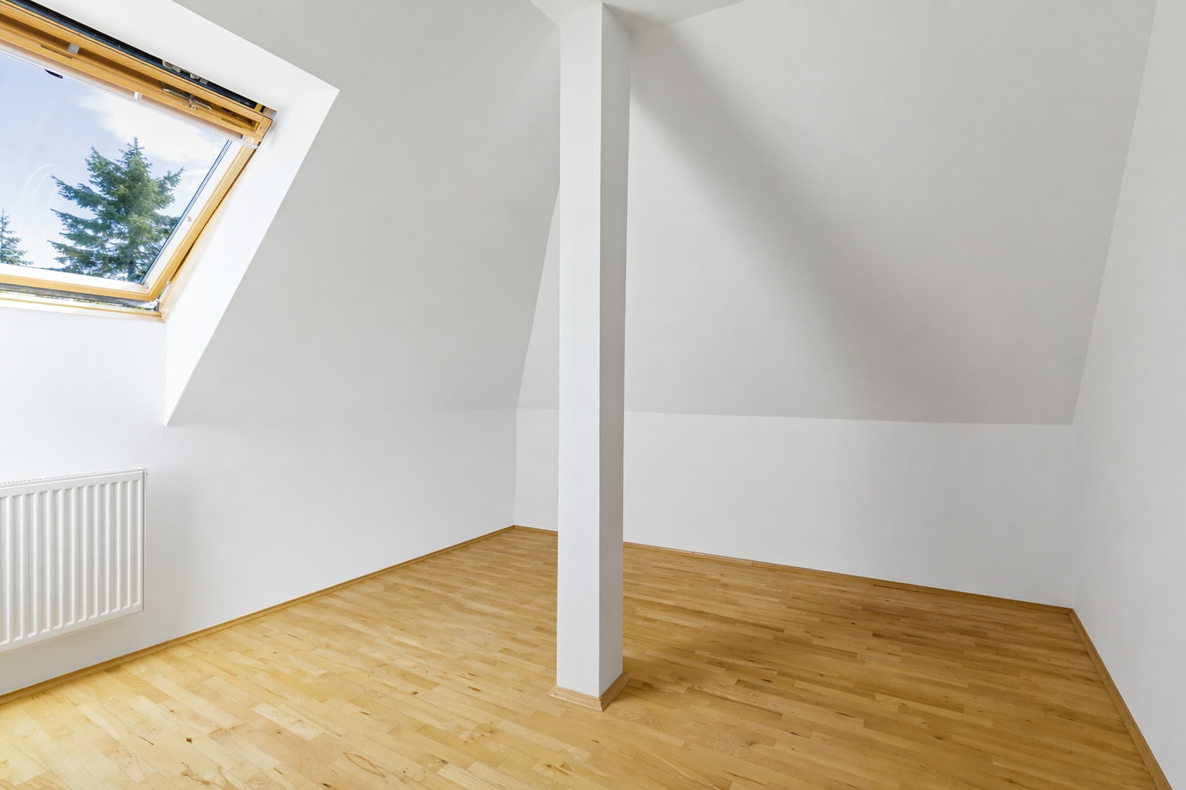 Gallery item 7